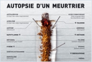 Comme cesser de fumer et nettoyer lorganisme de cela