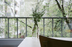 nature-flowers-table-balcony-medium