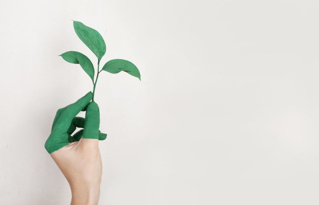 Ecologie et vapotage : vapoter c'est mieux pour la plante ! Actualits E cigarette Ecologie et vapotage : vapoter c'est mieux pour la plante ! Actualits E cigarette