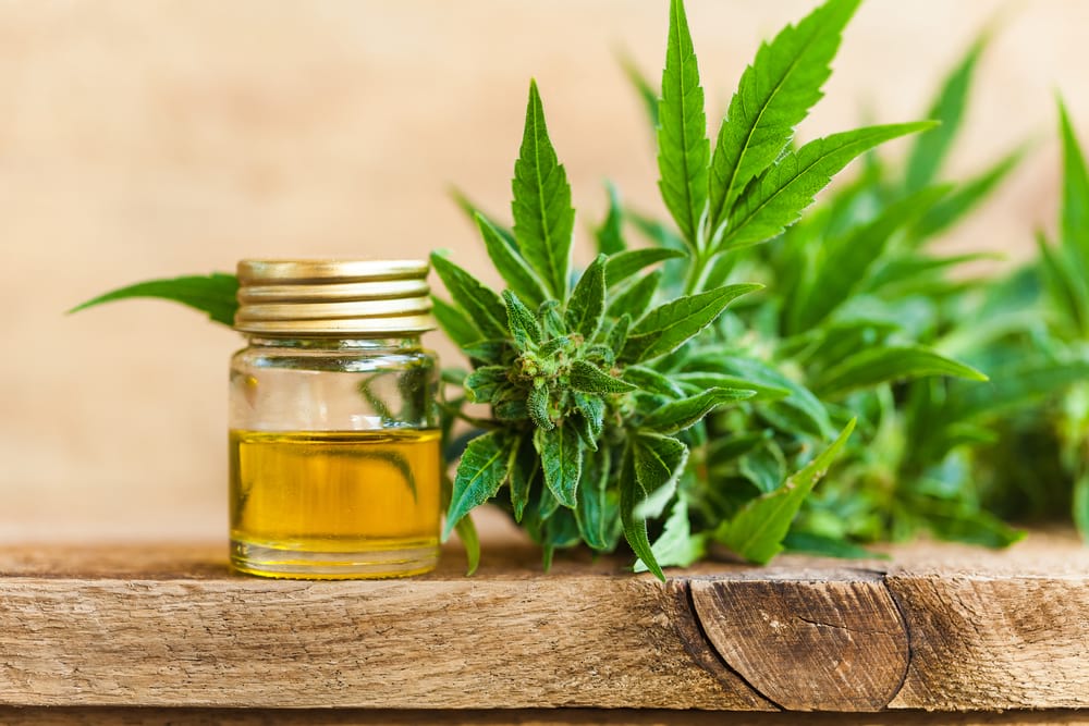 E-liquides au CBD : des utilisateurs conquis, des professionnels prudents