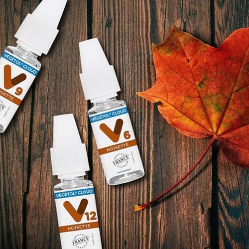 E LIQUIDES VEGETOL AU GOUT NOISETTE