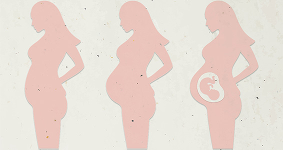 Dessin des étapes de la grossesse
