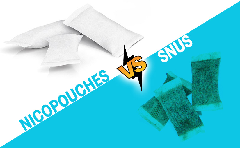 Quelles différences entre les Snus et les pouches de nicotine ?