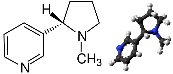 molecule nicotine