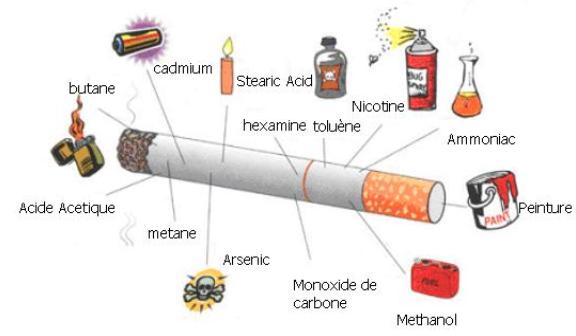 Aperçu non exhaustif des substances cancérigènes contenues dans le tabac Les dangers de la cigarette traditionnelle, un concentré de poisons violents pour la santé